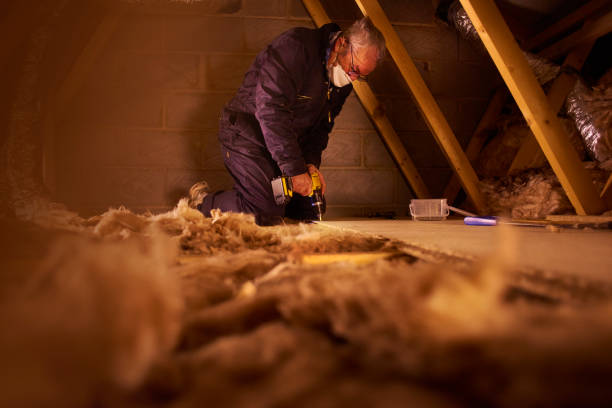 Best Attic Insulation Installation  in Pittsville, MD